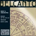 Thomastik Saiten für Kontrabass Belcanto Rope Core D x (BC62)