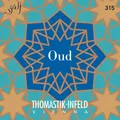 Thomastik Saiten für Arabische Aoud D Paar (317)
