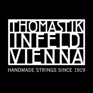 Thomastik Infeld Saiten für E-Gitarre Superalloy roundwound Single Strings .024 (IN24)