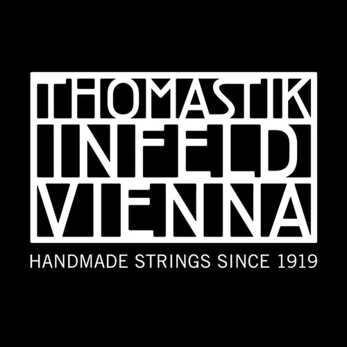 Thomastik Infeld Saiten für E-Gitarre Superalloy roundwound Single Strings .042 (IN42)