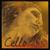 Cello Evah Pirazzi Gold C Stahlkabel/Wolfram Mittel