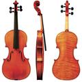 GEWA Violine Maestro 70 4/4
