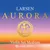 Aurora Violin Saiten Satz 4/4 mit D Alu (Satz 4/4 mit D Alu)