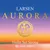 Aurora Violin Saiten Satz 4/4 mit D Alu (Satz 4/4 mit D Alu)