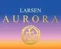 Viola-Saiten Aurora C Bulk 4/4 (C Bulk 4/4)